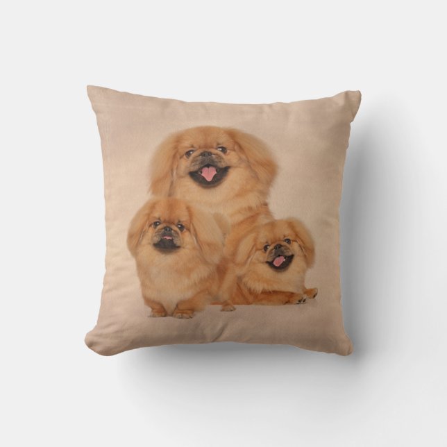 Pekingese verfolgt Collage Kissen (Vorderseite)