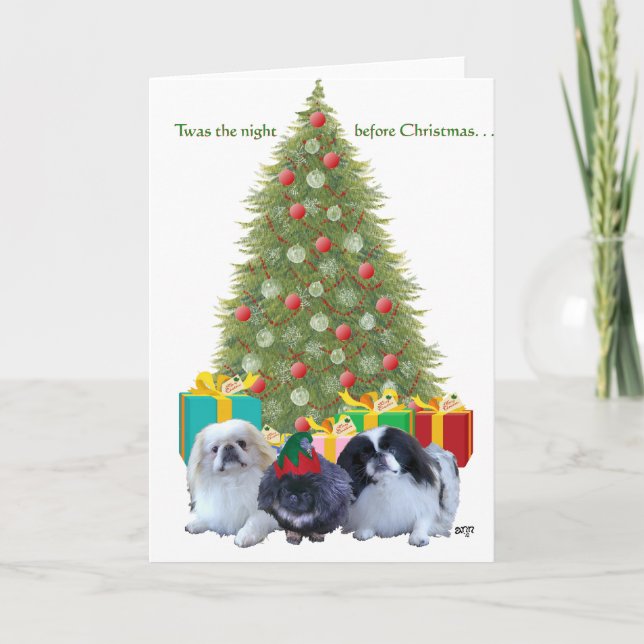 Pekingese Weihnachten (Vorderseite)