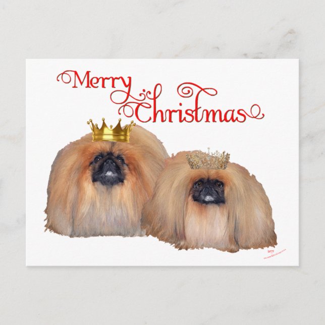 Pekingese Weihnachten (Vorderseite)
