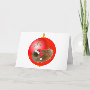 Pekingese Weihnachtsdekoration Feiertagskarte