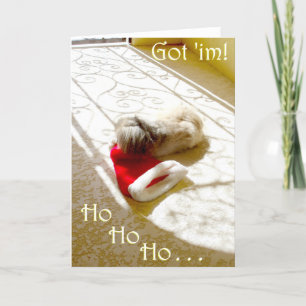 Pekingese-Weihnachtsgrußkarte Feiertagskarte