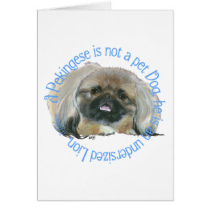 Pekingese Weisheit - Unteres Löwe !