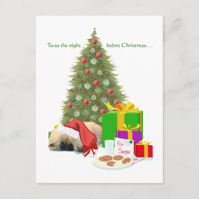 Pekingese Welpe 1. Weihnachten (Vorderseite)