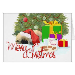 Pekingese Welpe 1. Weihnachten