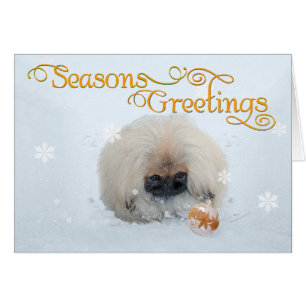 Pekingese-Welpe erstes Weihnachten