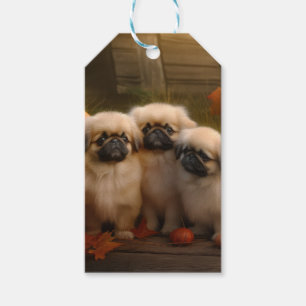 Pekingese Welpe Herbst Delight Pumpen Geschenkanhänger