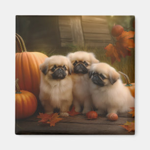 Pekingese Welpe Herbst Delight Pumpen Magnet