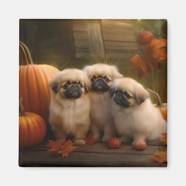 Pekingese Welpe Herbst Delight Pumpen Magnet (Vorne)