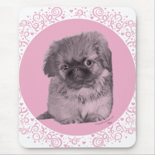 Pekingese-Welpe in Rosa Mousepad