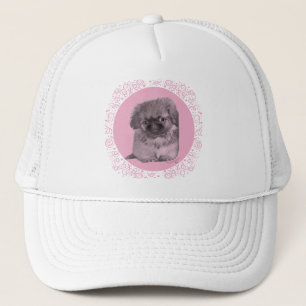 Pekingese-Welpe in Rosa Truckerkappe