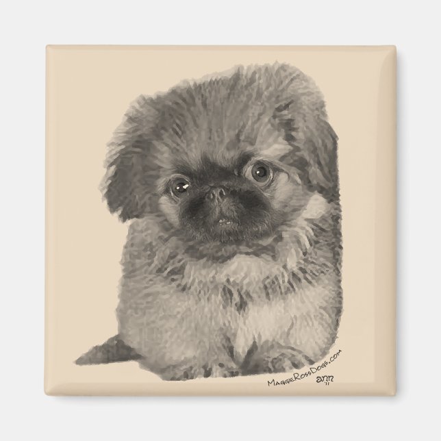 Pekingese-Welpe Magnet (Vorne)