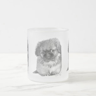 Pekingese-Welpe Mattglastasse