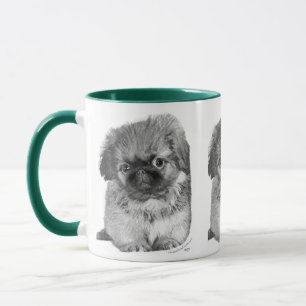 Pekingese-Welpe Tasse