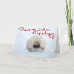 Pekingese Welppy First Christmas Feiertagskarte