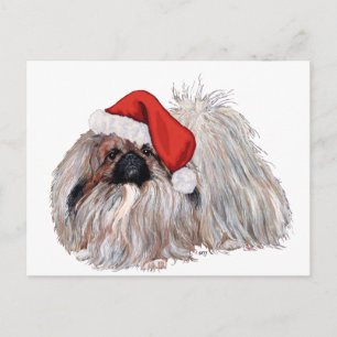 Pekingese zu Weihnachten