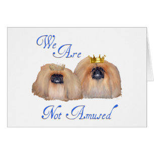 Pekingesen sind nicht amüsiert