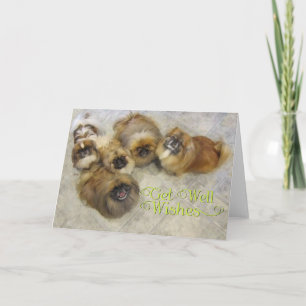 Pekingeser Genesungskarte Karte