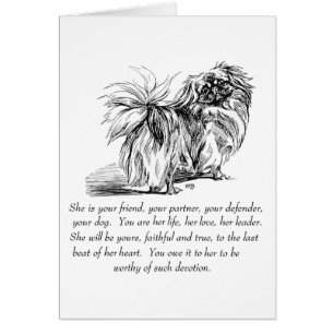 Pekingeser Grußkarte