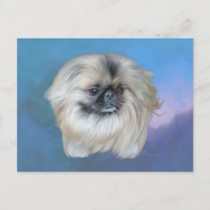 Pekingeser Lilie auf Blau Postkarte