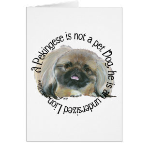 Pekingeser Weisheit - Untermaßiger Löwe !