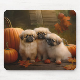 Pekingeser Welpe Herbstfreude Kürbis Mousepad