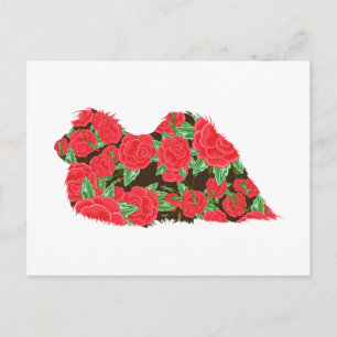 pekingisch postkarte