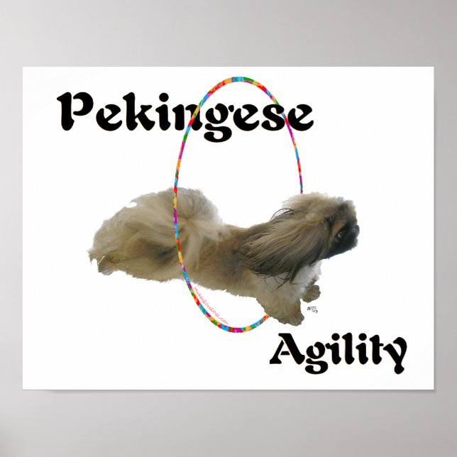 Pekingisches Agility Poster (Vorne)