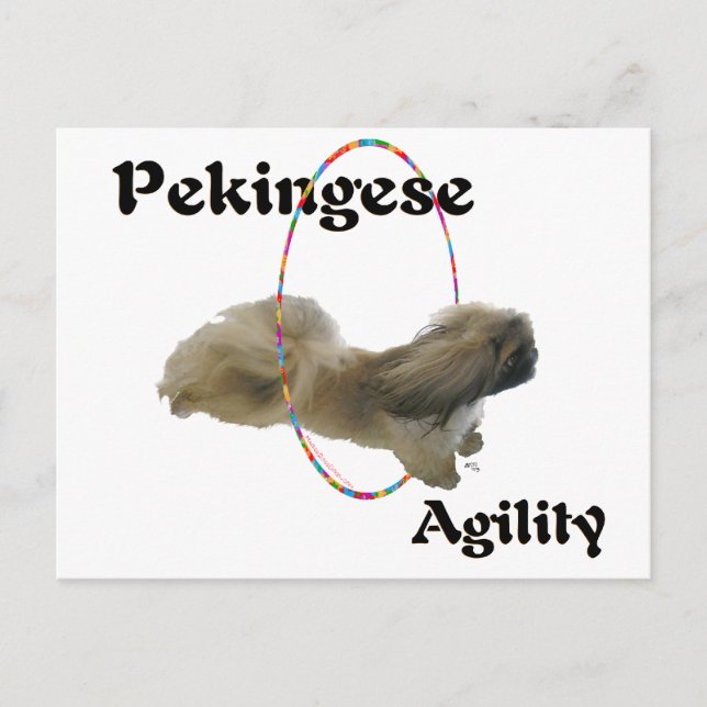 Pekingisches Agility Postkarte (Vorderseite)