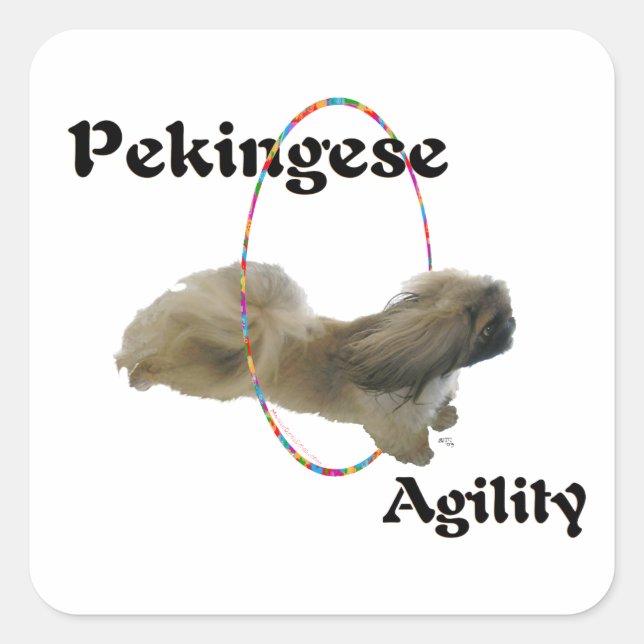 Pekingisches Agility Quadratischer Aufkleber (Vorderseite)