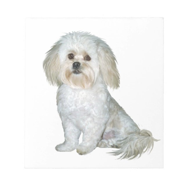 Pekkapoo (Flüchtige Blick-a-Poo) Notizblock (Vorderseite)