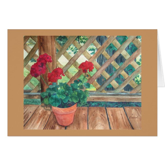 Pelargonie (Gärtner) (Vorderseite (Horizontal))