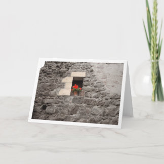 Pelargonie im Fenster Karte