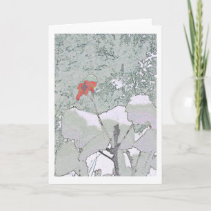 Pelargonie im Schnee Karte