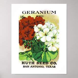 Pelargonie-Samen-Paket-Aufkleber Poster
