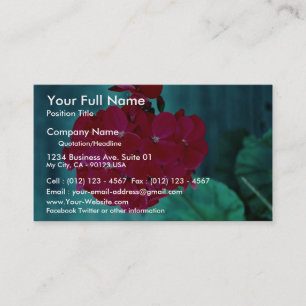 Pelargonieblütenkopf, Whitby, Ontario, Kanada Visitenkarte