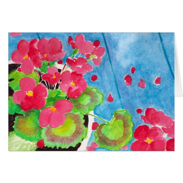 Pelargonien (Vorderseite (Horizontal))