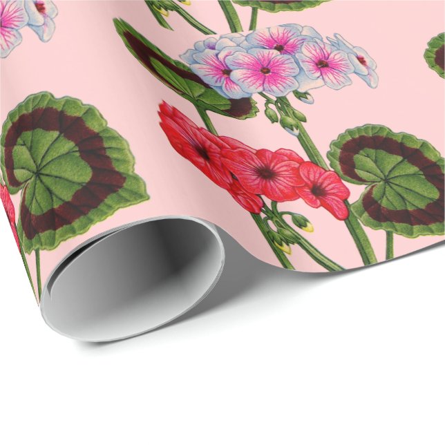 Pelargonien Geschenkpapier (Rolleneckpunkt)
