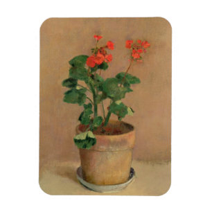 Pelargonien in einem Topf, c.1905 (Öl auf Magnet