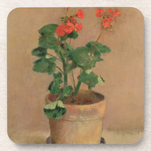 Pelargonien in einem Topf, c.1905 (Öl auf Untersetzer
