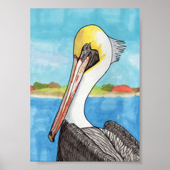 Pelican 12x18 poster (Vorne)