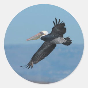 Pelican-9-Aufkleber Runder Aufkleber