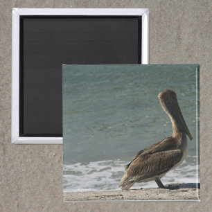 Pelican am Strand Foto Magnet