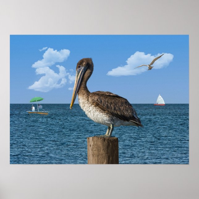 Pelican an Post Print oder Poser Poster (Vorne)