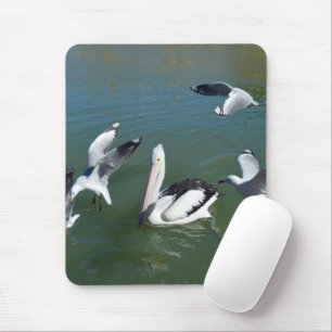 Pelican And The  Gate Crashers,  Mousepad