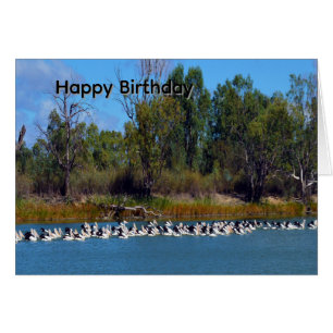 Pelican-Angelfischerwahn, River Murray, Geburtstag