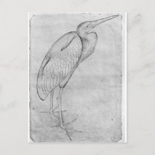 Pelican aus dem Vallardi-Album Postkarte