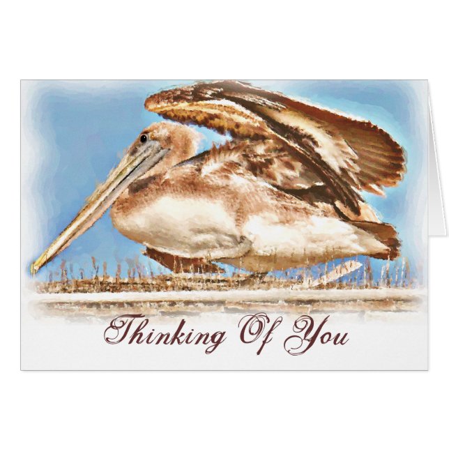 Pelican Awaits_ (Vorderseite (Horizontal))