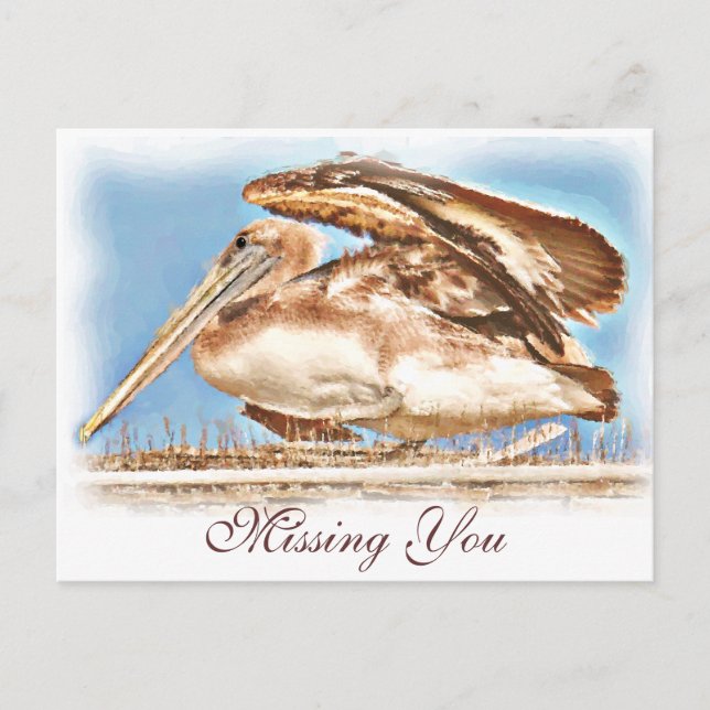 Pelican Awaits_ Postkarte (Vorderseite)