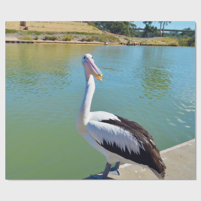 Pelican Back Chat, Packpapier (Flach)