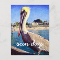 Pelican Beach Bird Foto Sun Day Stilvolle Schrift